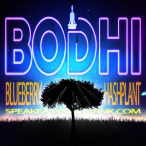 Bodhi Seeds presents Blueberry Hashplant