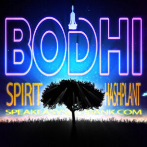 Bodhi Seeds Speakeasy Seedbank present Spirit Hashplant