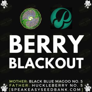 Dynasty Genetics presents Berry Blackout
