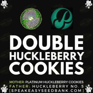 Dynasty Genetics presents Double Huckleberry Cookies