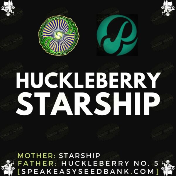 Dynasty Genetics presents Huckleberry Starship