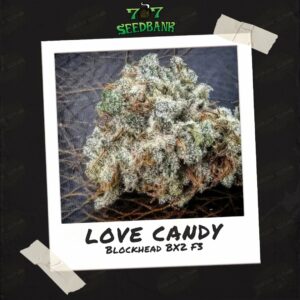 Love Candy by 707 Seed Bank