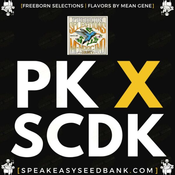 PK x SCDK by Freeborn Selections