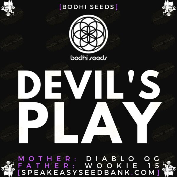 Devil's Play by Bodhi Seeds