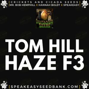 Crickets and Cicada present Tom Hill Haze F3