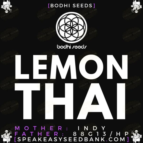 Lemon Thai by Bodhi Seeds