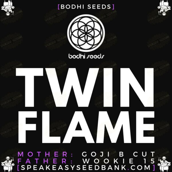 Twin Flame by Bodhi Seeds