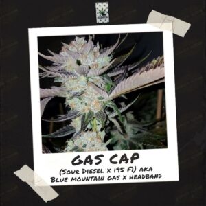 SkunkTek presents Gas Cap