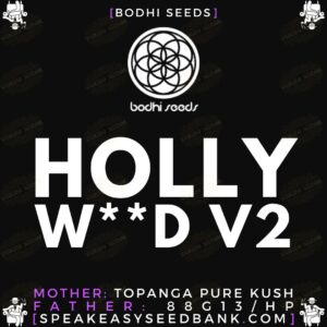 Hollyw**d by Bodhi Seeds