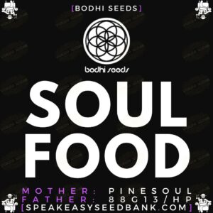 Soul Food by Bodhi Seeds