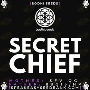 Secret Chief by Bodhi Seeds