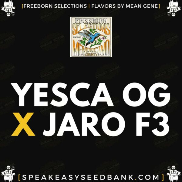 Freeborn Selections presents Yesca OG x Jaro F3