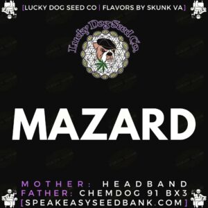 Mazard by Lucky Dog Seed Co