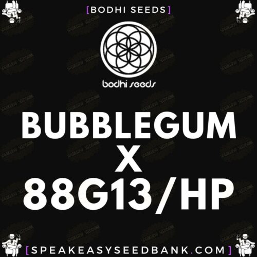 Bubblegum x 88G13/HP