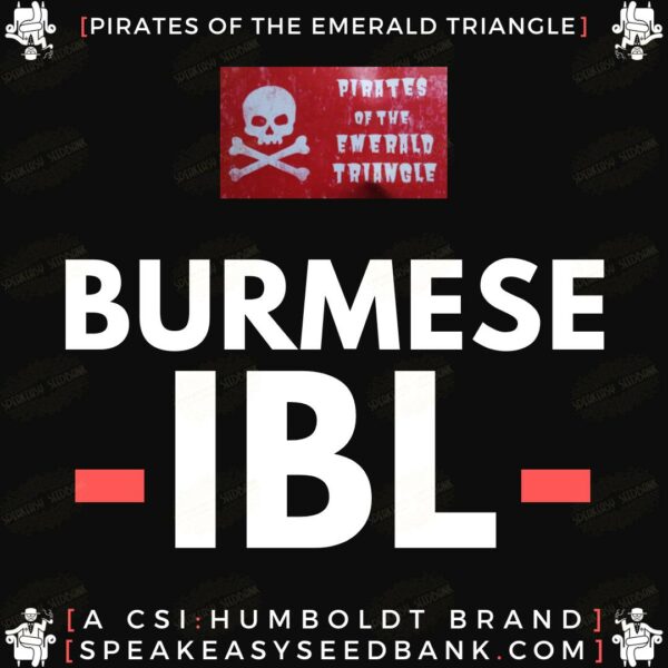 Burmese IBL by Pirates of the Emerald Triangle