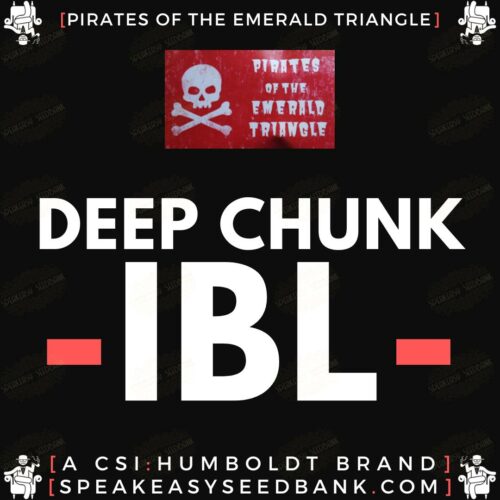 Deep Chunk IBL