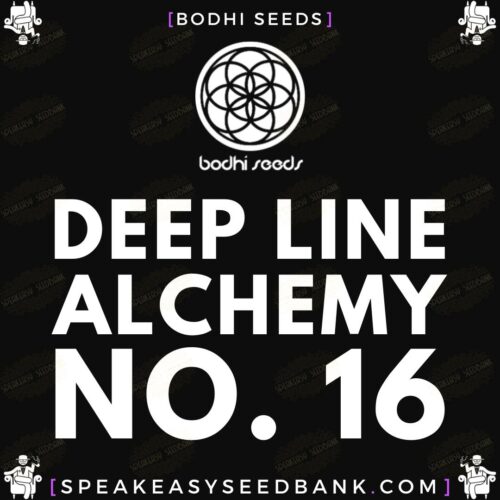 Deep Line Alchemy no.16