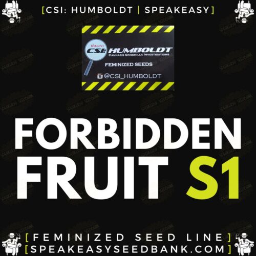 Forbidden Fruit S1