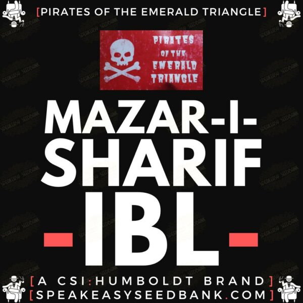 Mazar-I-Sharif IBL by Pirates of the Emerald Triangle