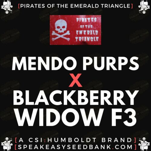 Mendo Purps x Blackberrry Widow F3