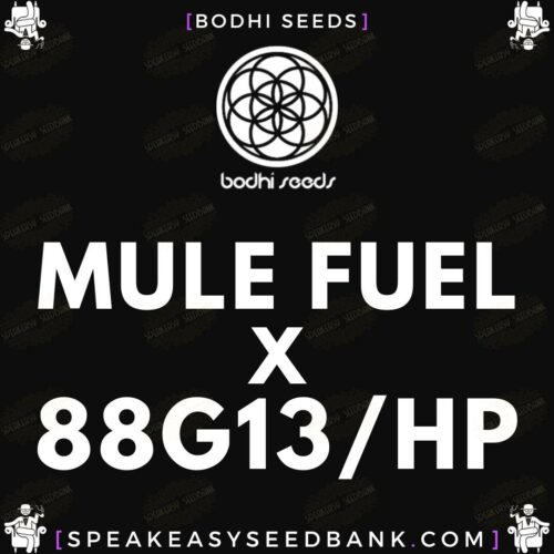 Mule Fuel x 88G13/HP