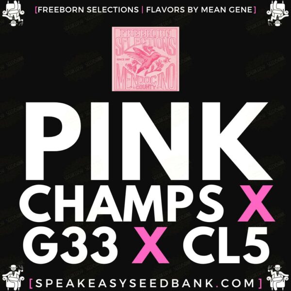 Pink Chams x Gelato x Cherry Limeade F5 by Freeborn Selections