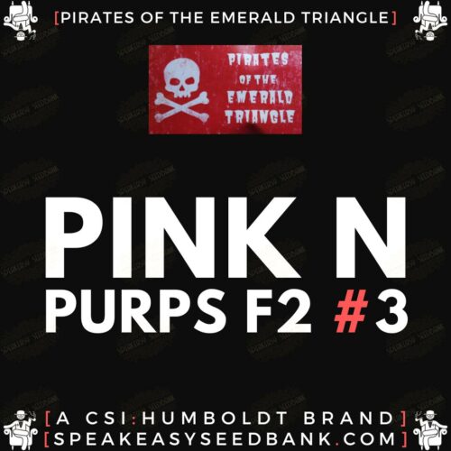 Pink N Purps F2 #3