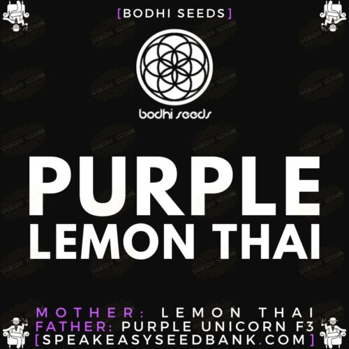 Purple Lemon Thai