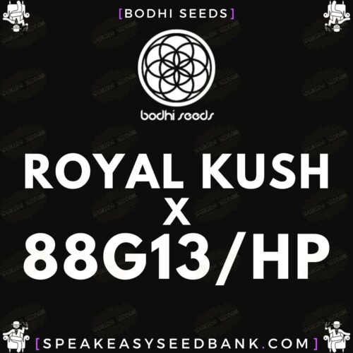 Royal Kush x 88G13/HP