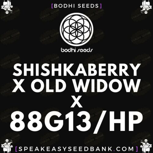 Shishkaberry x Old Widow x 88G13/HP