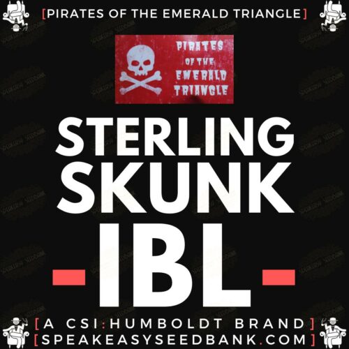 Sterling Skunk IBL