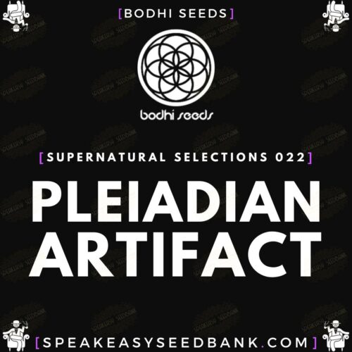 Supernatural Selections 022 - Pleiadian Artifact