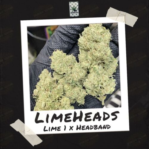 LimeHeads