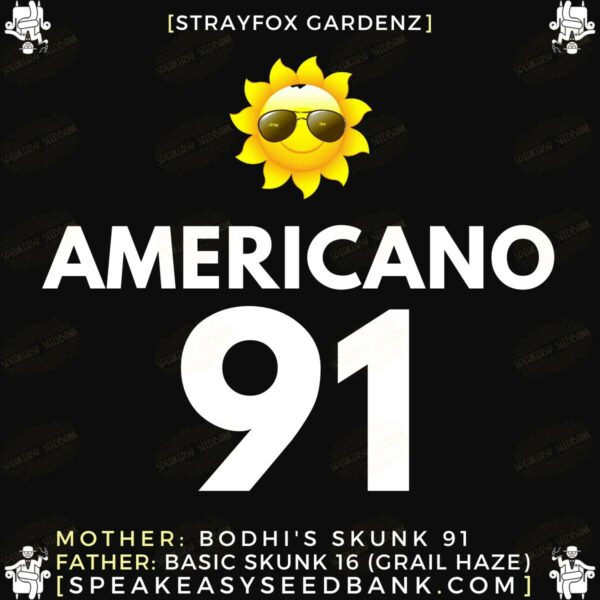 Americano 91 - Stray Fox Gardenz