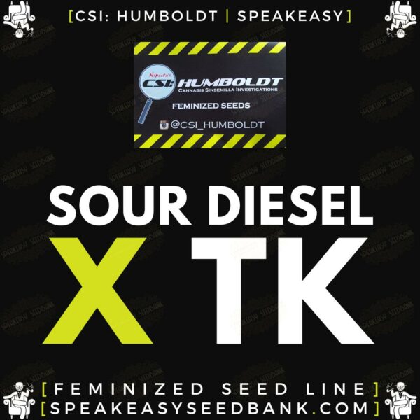 Sour Diesel x TK by CSI Humboldt