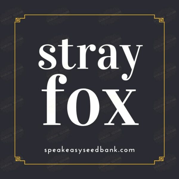 Strayfox Gardenz - Speakeasy Seedbank