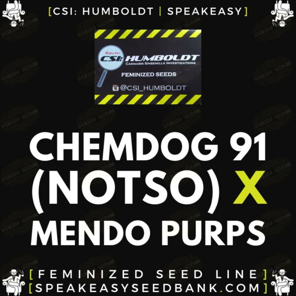 Chemdog 91 (Notso) x Mendo Purps - CSI Hubmoldt x Speakeasy Seedbank