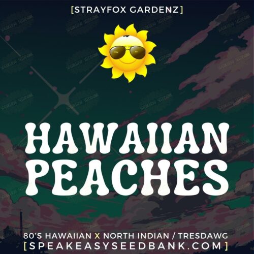Hawaiian Peaches