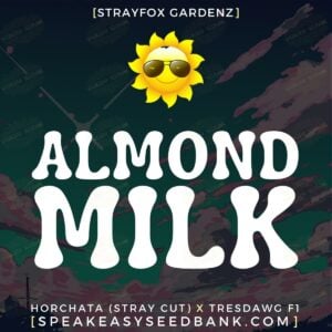Almond Milk by Strayfox Gardenz