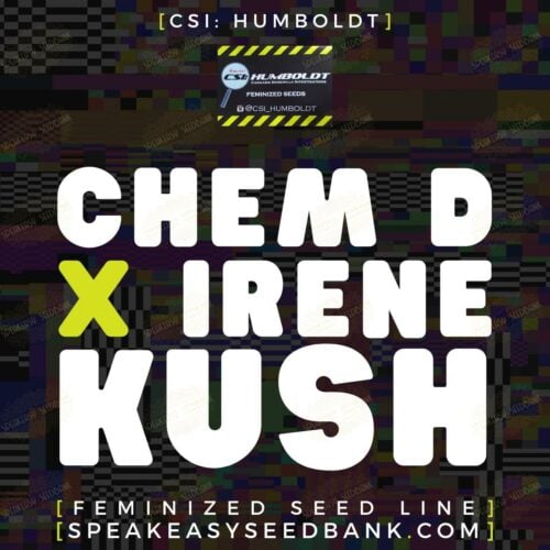 Chemdog D x Irene Kush