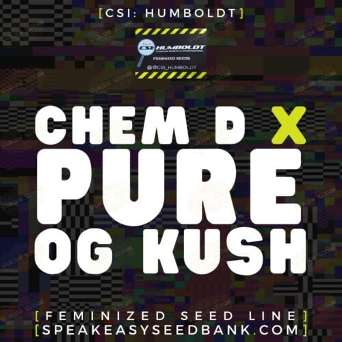 Chemdog D x Pure OG Kush