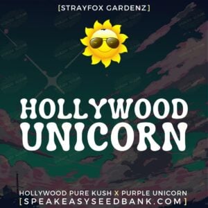 Hollywood Unicorn by Strayfox Gardenz