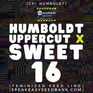 Humboldt Uppercut x Sweet 16 by CSI Humboldt