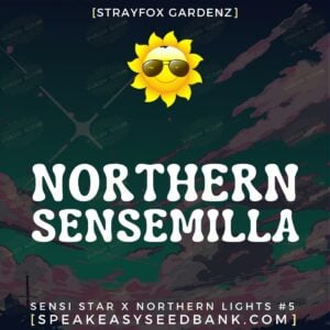 Northern Sensemilla by Strayfox Gardenz