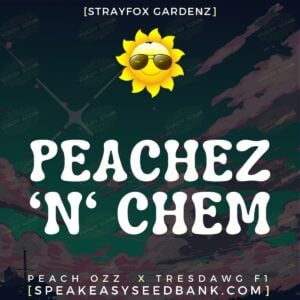 Peachez N Chem by Strayfox Gardenz