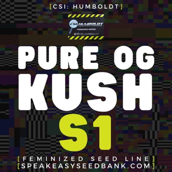 Pure OG Kush S1 by CSI Humboldt