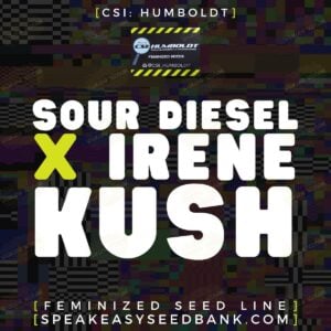 Sour Diesel x Irene Kush by CSI Humboldt