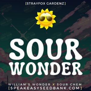 Sour Wonder by Strayfox Gardenz