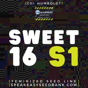 Sweet 16 S1 by CSI Humboldt