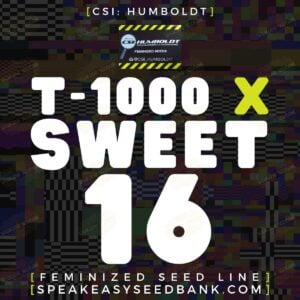 T-1000 x Sweet 16 by CSI Humboldt
